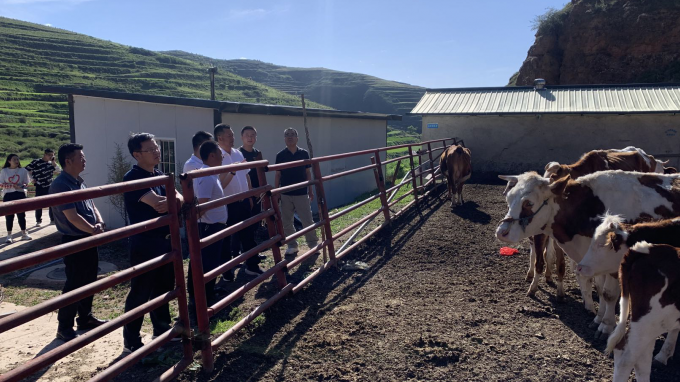 乐动·官方端网站在线党委书记、董事长宋忠庆一行赴卓尼县柳林镇帮扶村调研慰问