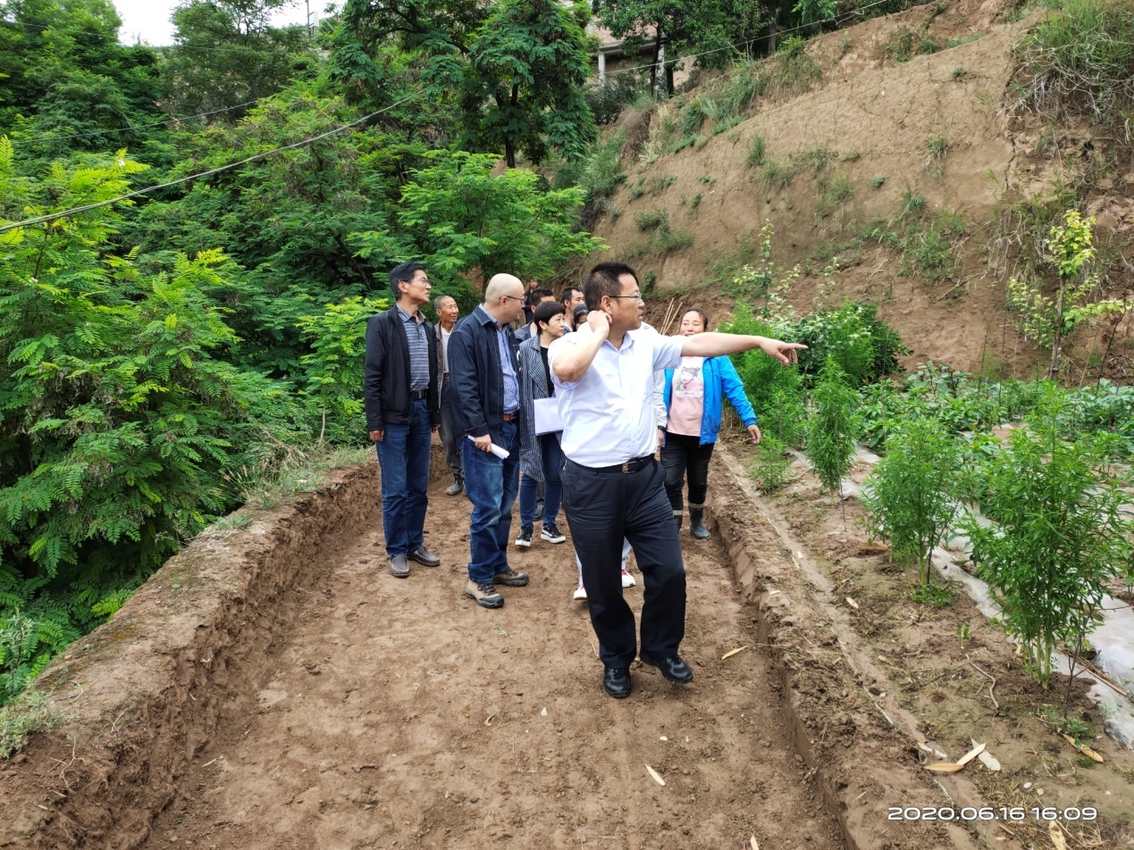 1592550265460057142.jpg 图片4.jpg