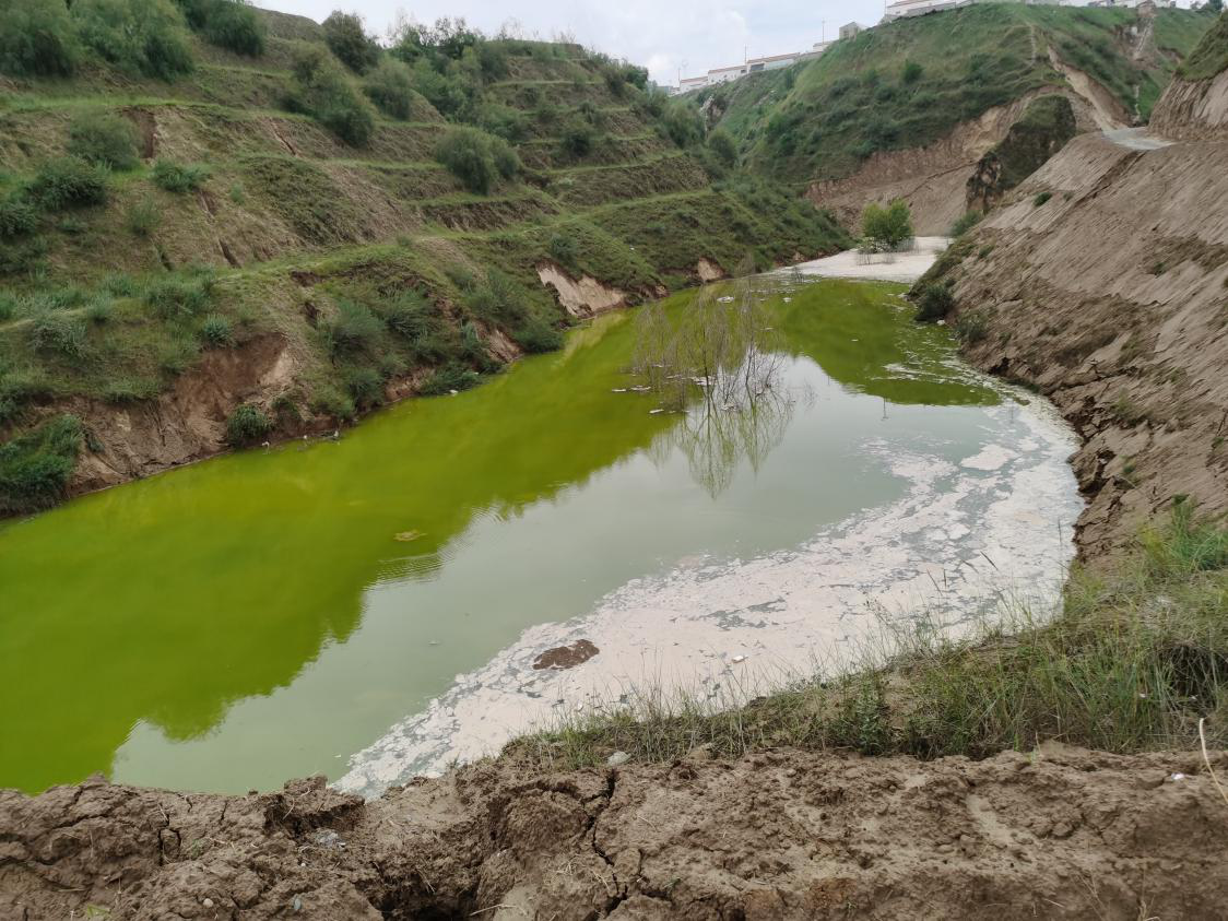 1598424305609044861.png 图片2.png