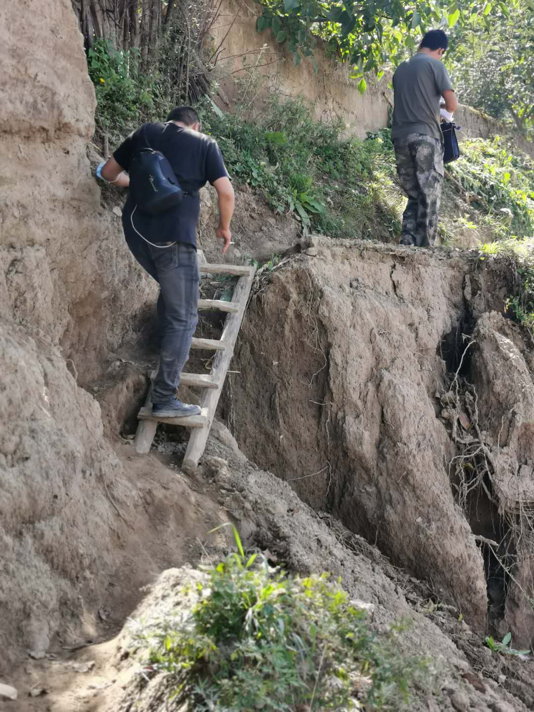 1599448644161053474.png 图片5.png