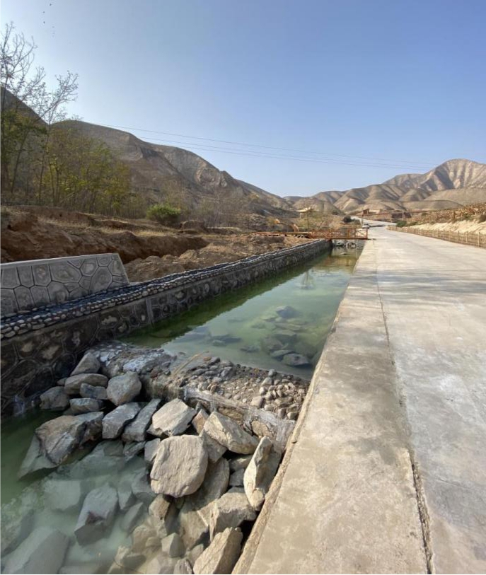 1607324977043070950.jpg 6.jpg